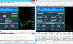Bot Copy Trading MT4 - MT5 - Automatically Copy Trade - Free download