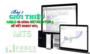Bài 1: Giới thiệu MetaEditor 5, công cụ viết Robot mt5