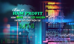 Bài 17: Hàm Profit lấy ra tổng số lợi nhuận trên chart MT4