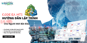 Code EA MT5 - Hướng Dẫn Lập Trình EA MT5 Cho Người Mới Bắt Đầu