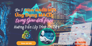 Bài 5: Hàm MACD MT5 - Hướng Dẫn Lập Trình MACD Cho Giao Dịch Forex